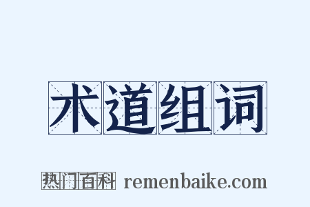 术道组词是什么意思的图片